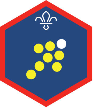 challenge sc team leader